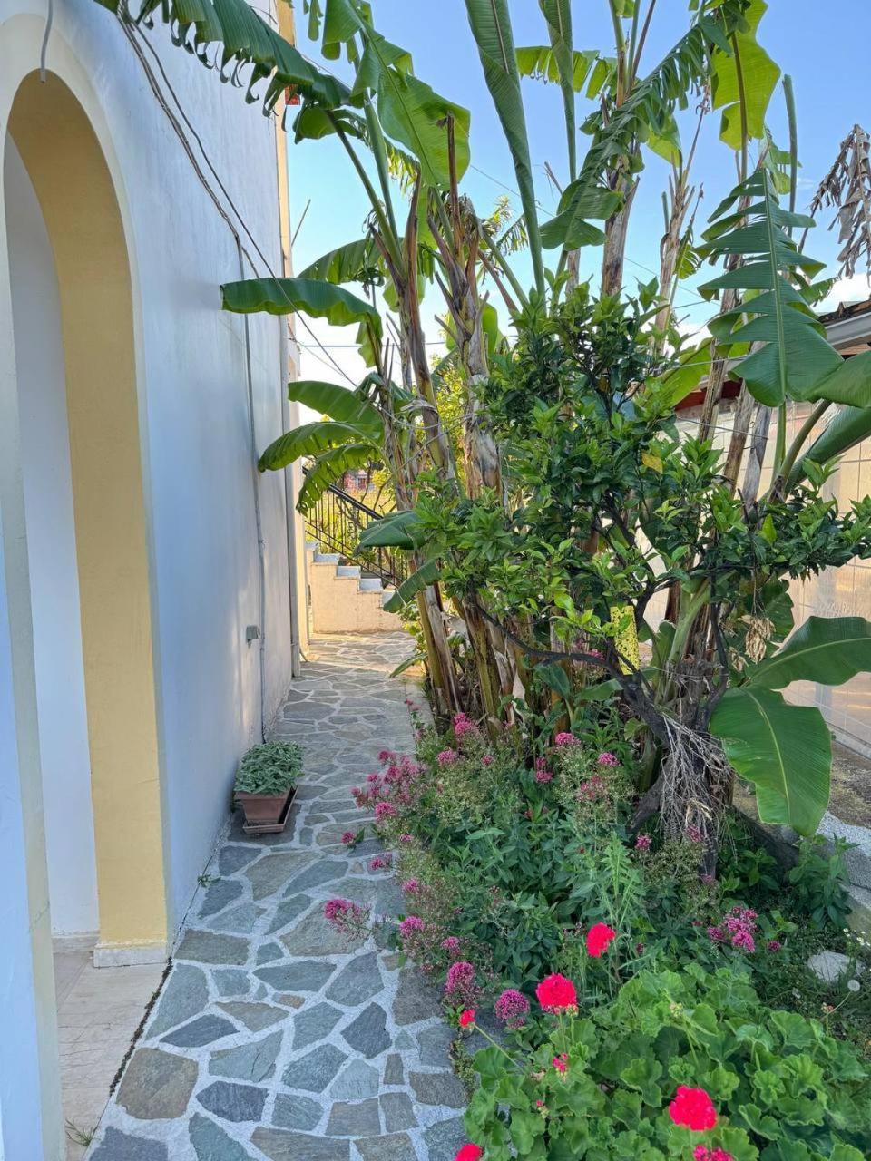 Gian Petro Apartments Sidari  Luaran gambar
